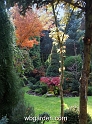 wbgarden autumn 57